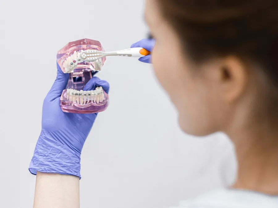 Orthodontiste présentant un modèle dentaire avec appareil